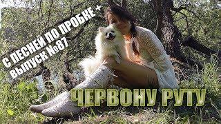 ЧЕРВОНУ РУТУ (РОТАРУ COVER). С ПЕСНЕЙ ПО ПРОБКЕ +. Мария Шилова. Выпуск №87