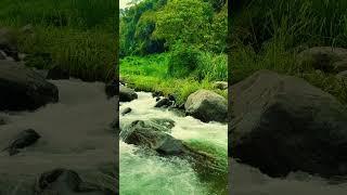 River Sound Therapy, Mountain River Sounds, Calming Sound of Turquoise Mountain River