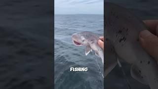 This man caught a smiling shark ️ #shorts