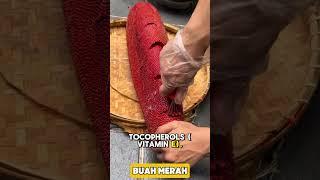 Red Fruit of Indonesia