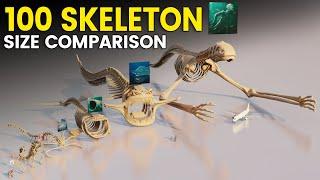 100 Skeleton Size Comparison 3D | EL GRAN MAJA VS MEGA TITAN