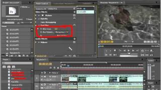 Фильтры и эффекты в Adobe Premiere Pro .