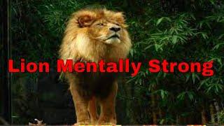 I am mentally as strong as a lion | motivation speech