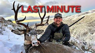 Last-Minute Mule Deer Hunt!