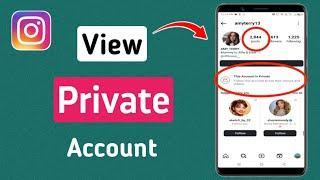 How to View Private Account on Instagram 2024 (in 1-Minute)