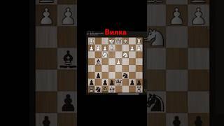 Вилка. Отрывок занятия. #chess777 #chess #шахматы #топ #обучение