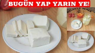 İDDİA EDİYORUM YOK BÖYLE MAYA İLE YAPILAN BEYAZ PEYNİR‼️(Evde Doğal Beyaz Peynir Nasıl Yapılır? )