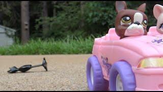 LPS: Driving School