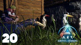 THE AUTOMATIC POLYMER FARM!!!!  -- ARK: Survival Ascended ¦ PART 20 ¦ #arksurvivalascended #ark