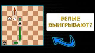 ПЕШКА против ЛАДЬИ - КРАСИВЕЙШИЙ ЭТЮД всех времен?