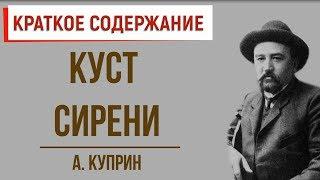 Куст сирени. Краткое содержание