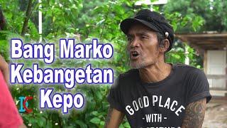 Bang Marko Kebangetan Kepo