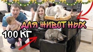 111 КГ ПОДАРКОВ ДЛЯ ЖИВОТНЫХ НА НОВЫЙ ГОД! Что подарить коту и собаке?