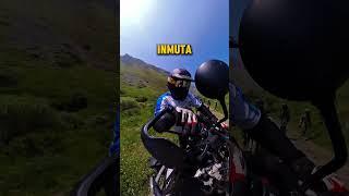 Cuando te encuentras un toro en mitad de la pista…