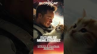 Memes Like Never Before Experience ElonXCat