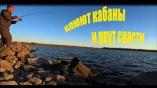 Рыбалка,Крым,Водохранилище "Самарли".КЛЮЮТ КАБАНЫ И РВУТ ВСЕ СНАСТИ