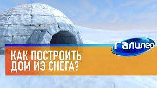 Галилео  Как построить дом из снега?