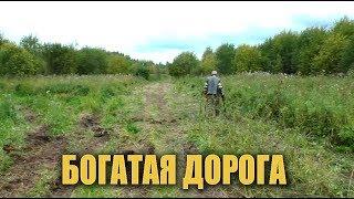 Богатая дорога. Находки за столетие