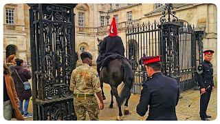 MONDAY MELTDOWN as BOTH HORSES React to a Noisy Protest at Horse Guards!