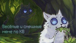 Коты-воители:  сборник смешных и весёлых меме 