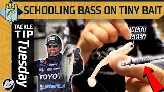 Fishing TINY Baits for Schooling Bass in Fall