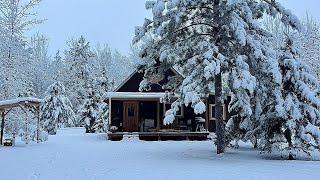 Snowstorm And -30F Windchills At Our Northern Minnesota Homestead