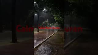 Calm Rain Quran 4K #islam #peace #rain