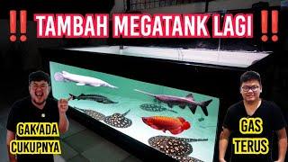 SULTAN NAMBAH MEGATANK MEWAH UNTUK KOLESI IKAN PREDATOR MEWAHNYA‼️