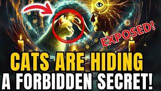 Cats Hiding a Dark Secret… Only for the Chosen Ones!