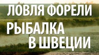 РЫБАЛКА В ШВЕЦИИ НА ФОРЕЛЬ