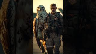 USA Air Force Bird Companions #beautiful #vibes #usa #airforce #bird #birds #eagle #aivideo
