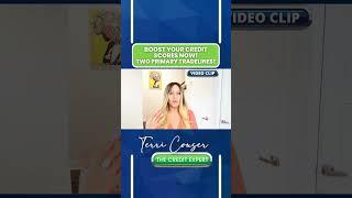 CLIP | Boost Your Credit Scores NOW! Two Primary Tradelines! | READ DESCRIPTION