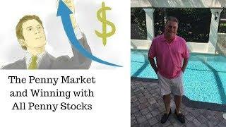 Enjoy Success in the Penny Market with All Penny Stocks