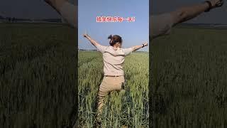 Jia Mier Funny. Interesting and humorous rural stories. Bring positive things to you every day #833
