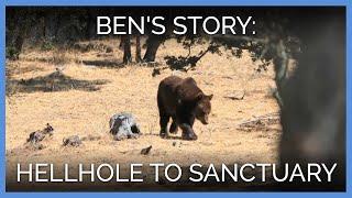 Ben's Journey From Hellhole to Sanctuary