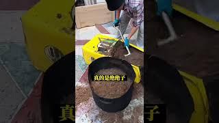 蔬菜育苗或者配种植土，推荐主要材料用品氏泥炭土哦