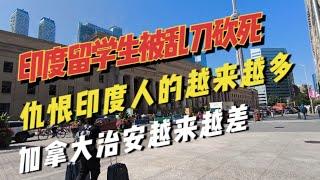 印度留学生被乱刀砍死，才来加拿大8个月，仇恨印度人的加拿大人越来越多，加拿大的治安越来越差