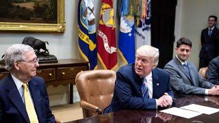 What's President Trump's political strategy?