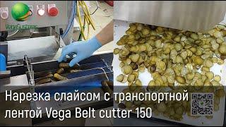 Нарезка слайсом с использованием транспортной ленты  овощей, фруктов Vega Belt cutter 150 | Нарезка