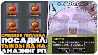 ПОСАДИЛ В СРЕДНЕЙ ТЕПЛИЦЕ "ТЫКВЫ" НА AMAZING ONLINE (GTA CRMP)