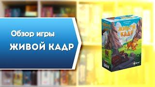 ЖИВОЙ КАДР. Обзор и правила настольной игры от Эврикус