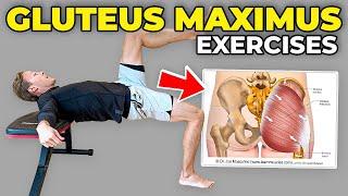 4 Gluteus Maximus Strengthening Exercises