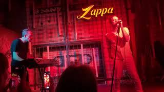 Animal ДжаZ - Три Полоски (Белград, Zappa Baza, 24.04.2024) @animaljazzband