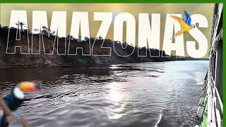 Relaxe Assistindo o Rio Amazonas e Maués Açu!