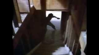 Ninja III Domination: Sho Kosugi vs Female Ninja