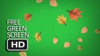 Free Green Screen - Falling Autumn Leaves Cartoon Style