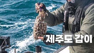 제주 심해갑오징어낚시 로드 테스트와 요즈리 고추장 퍼플