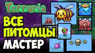 Terraria 1.4.4.x | Террария все Мастер Мод вещи - ВСЕ ПИТОМЦЫ