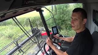 7 августа. Начали молотить пшеницу, загрузка фуры  Massey Ferguson 7347s.