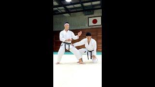 Be strong with the correct posture!【Budo Karate】